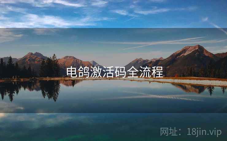 电鸽激活码全流程