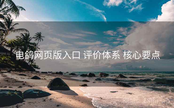 电鸽网页版入口 评价体系 核心要点
