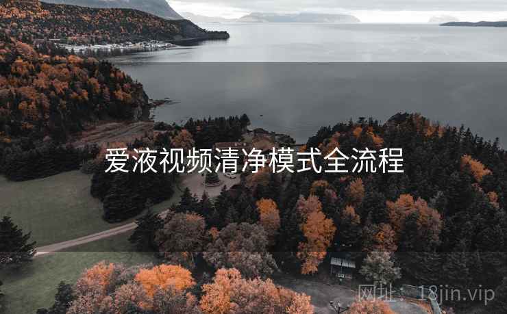爱液视频清净模式全流程