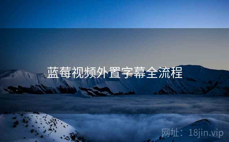蓝莓视频外置字幕全流程