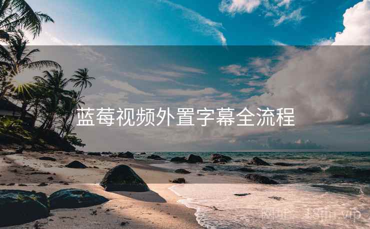 蓝莓视频外置字幕全流程